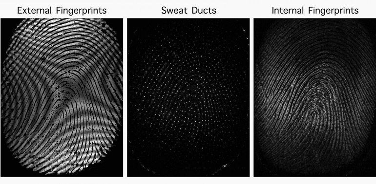 Сканер снимает отпечатки пальцев с внутренней стороны кожи - фото 1