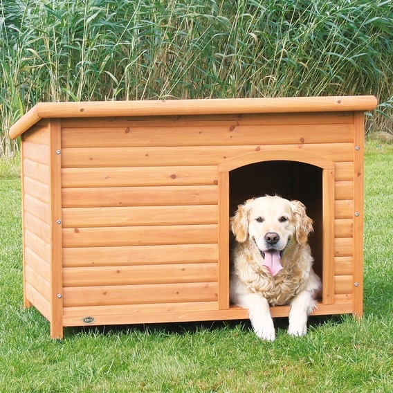Строим уютную будку для собаки вместе с Ryobi - фото 1