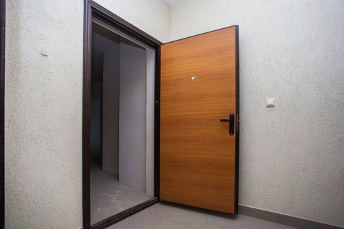 Как выбрать входную дверь в квартиру? - фото 2