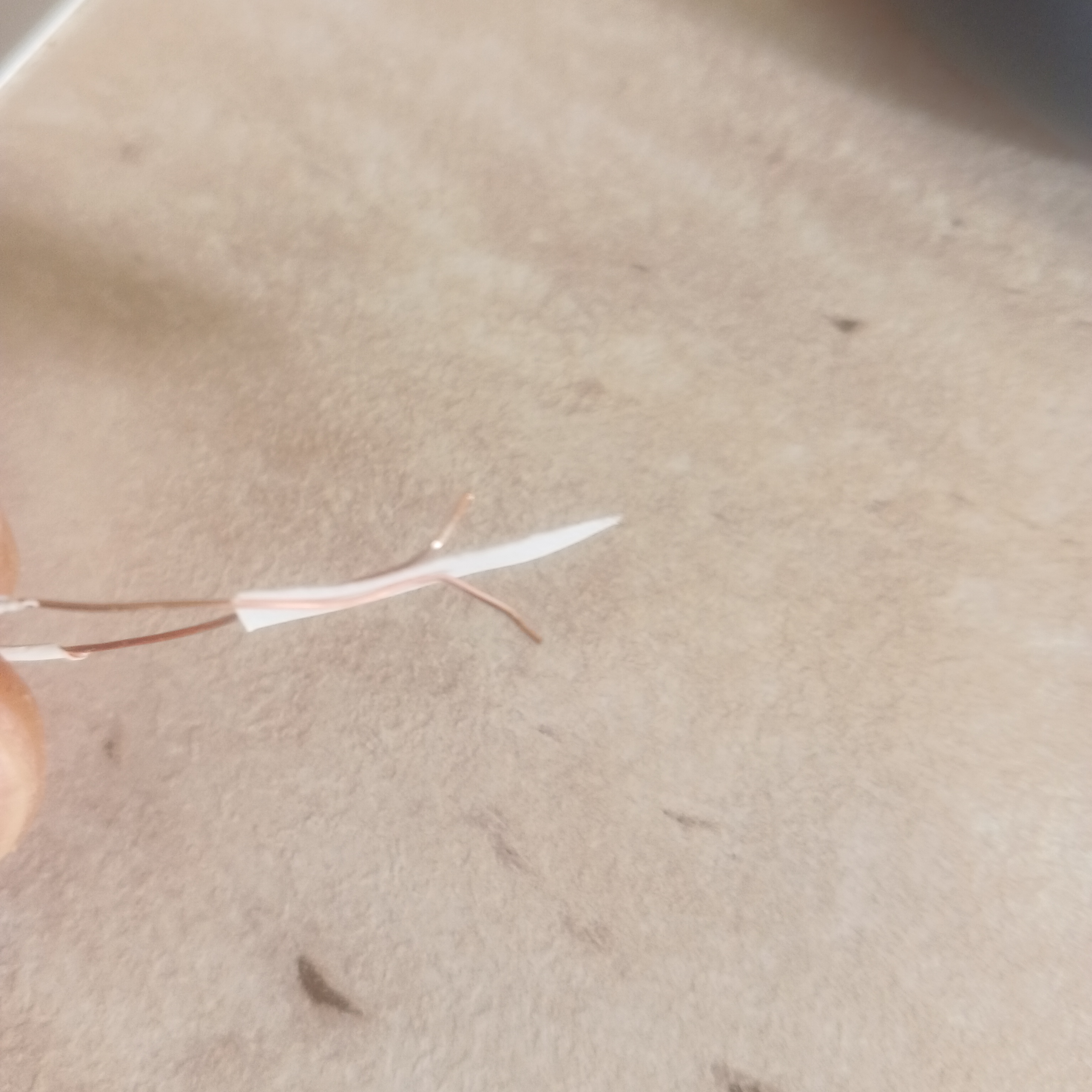 17704554022961298271437750502433