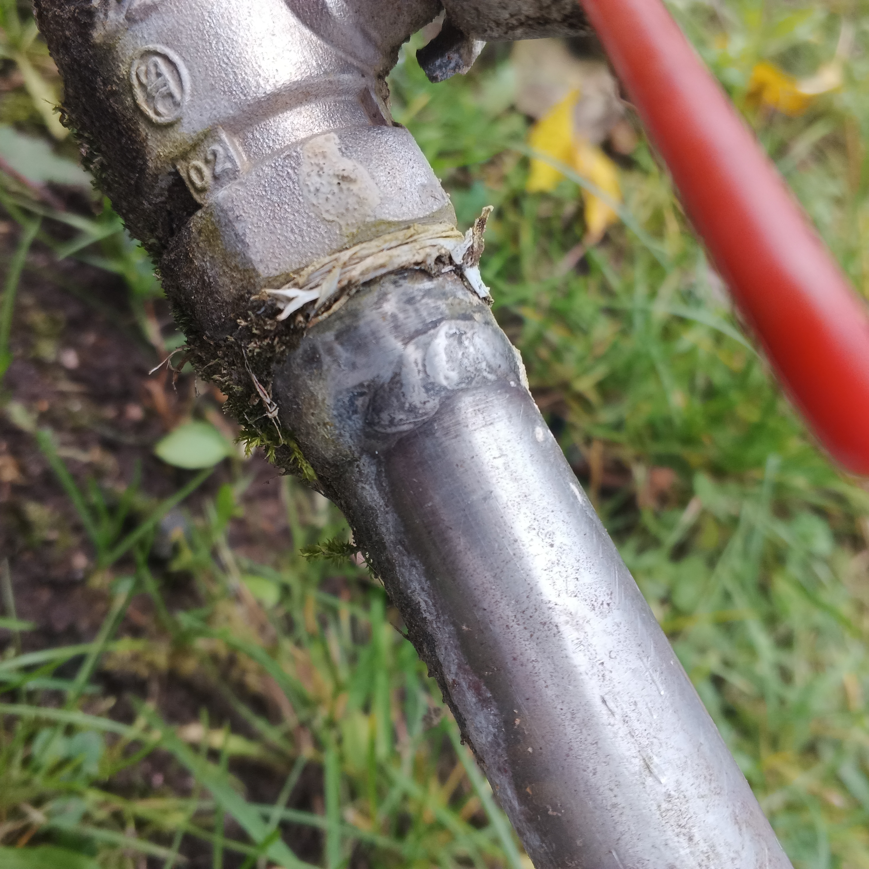 IMG_20251105_132509_265