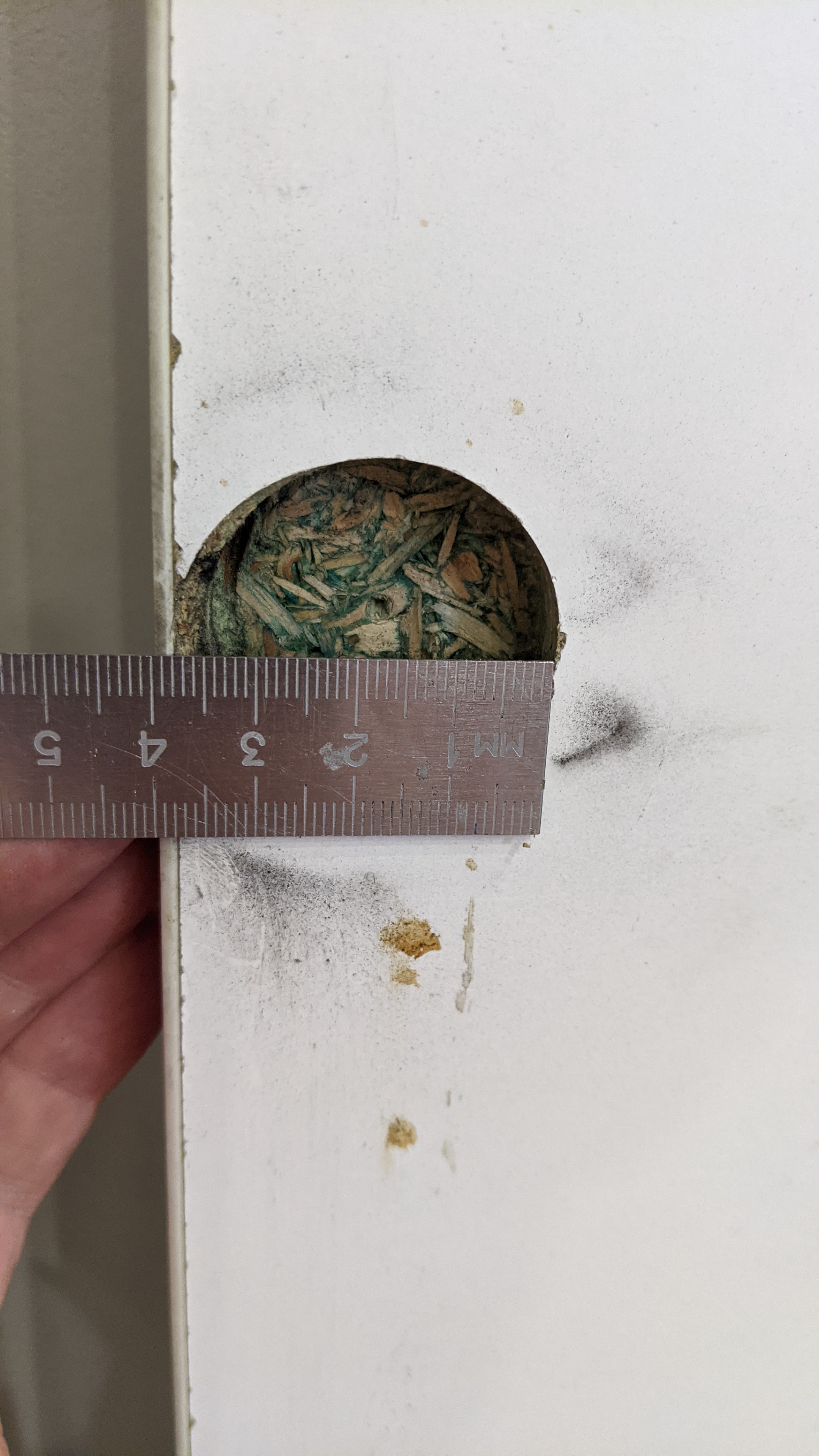 PXL_20251022_111333527