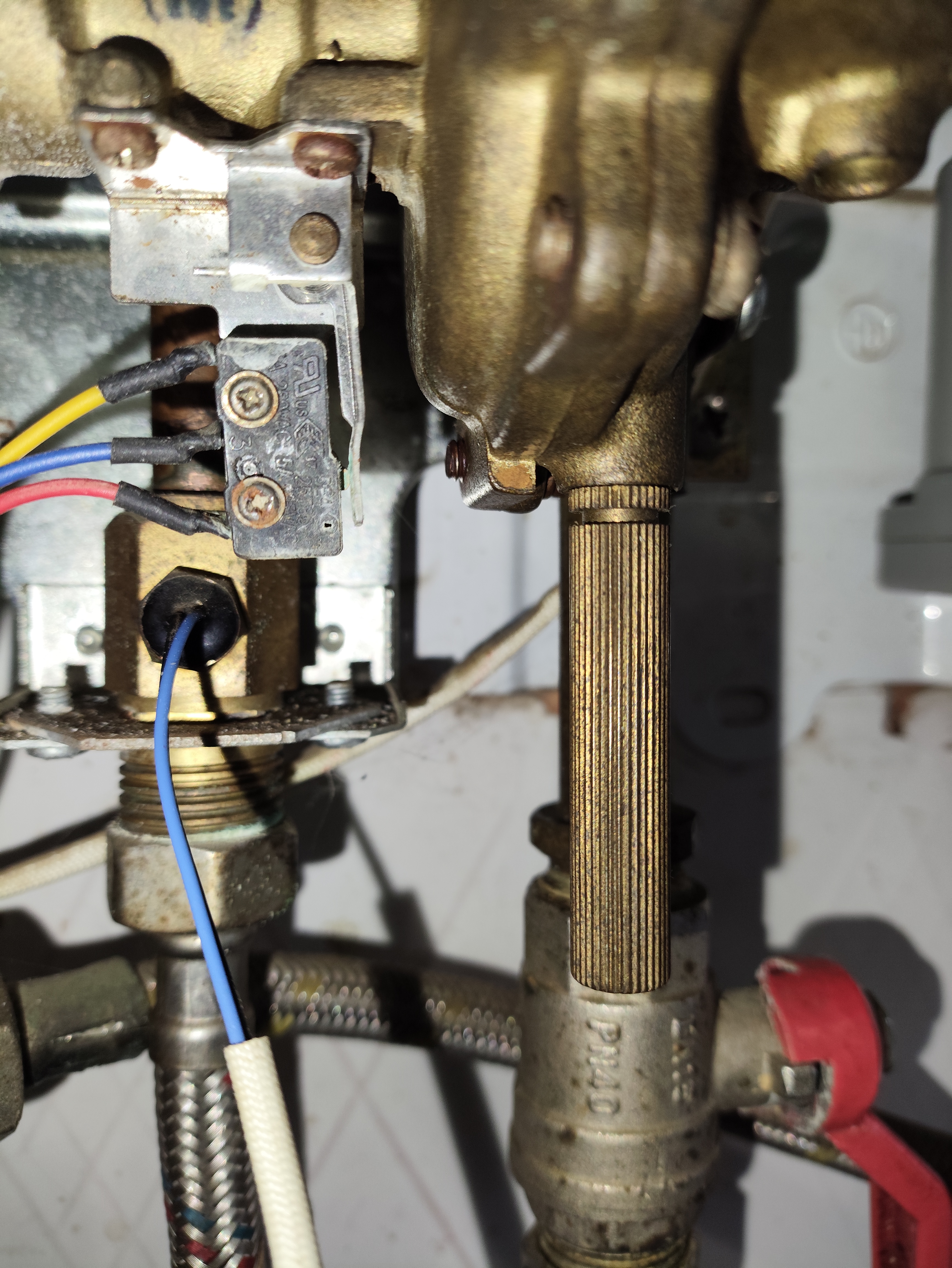 Фото пикника при открытой воде.