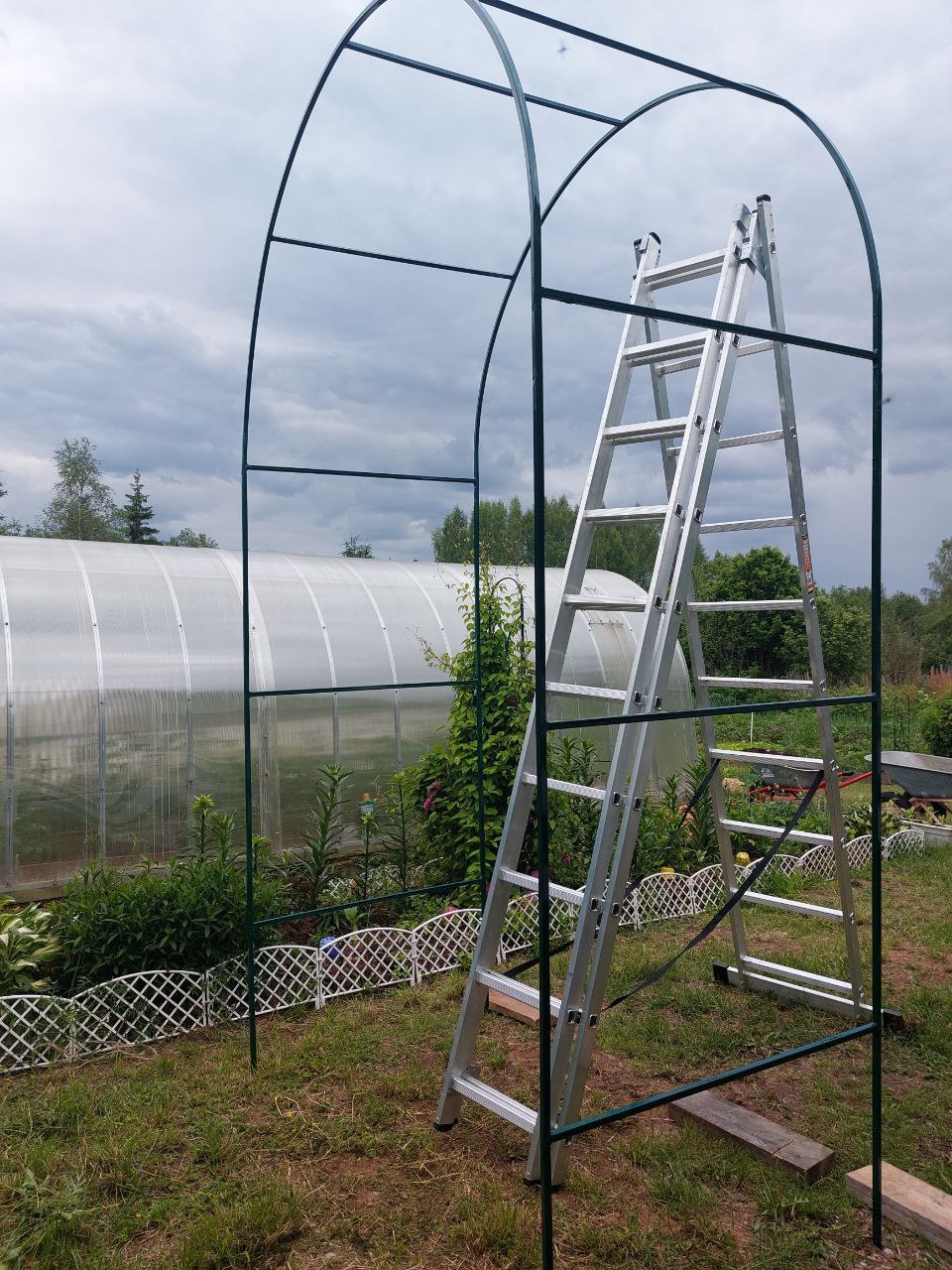 photo_2026-01-23_11-09-50