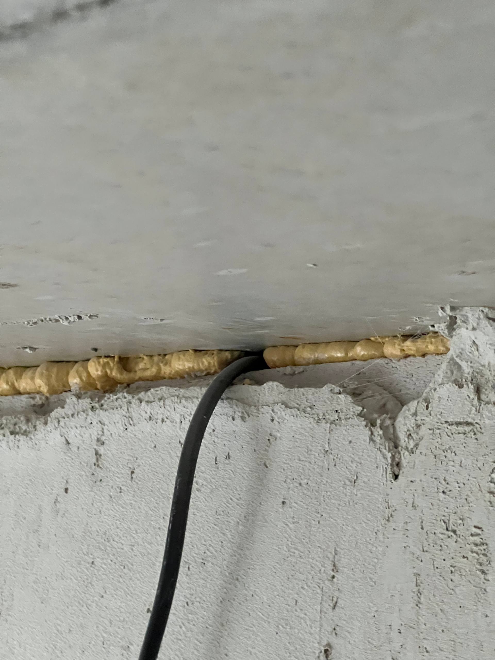 photo_2026-02-25_12-53-14