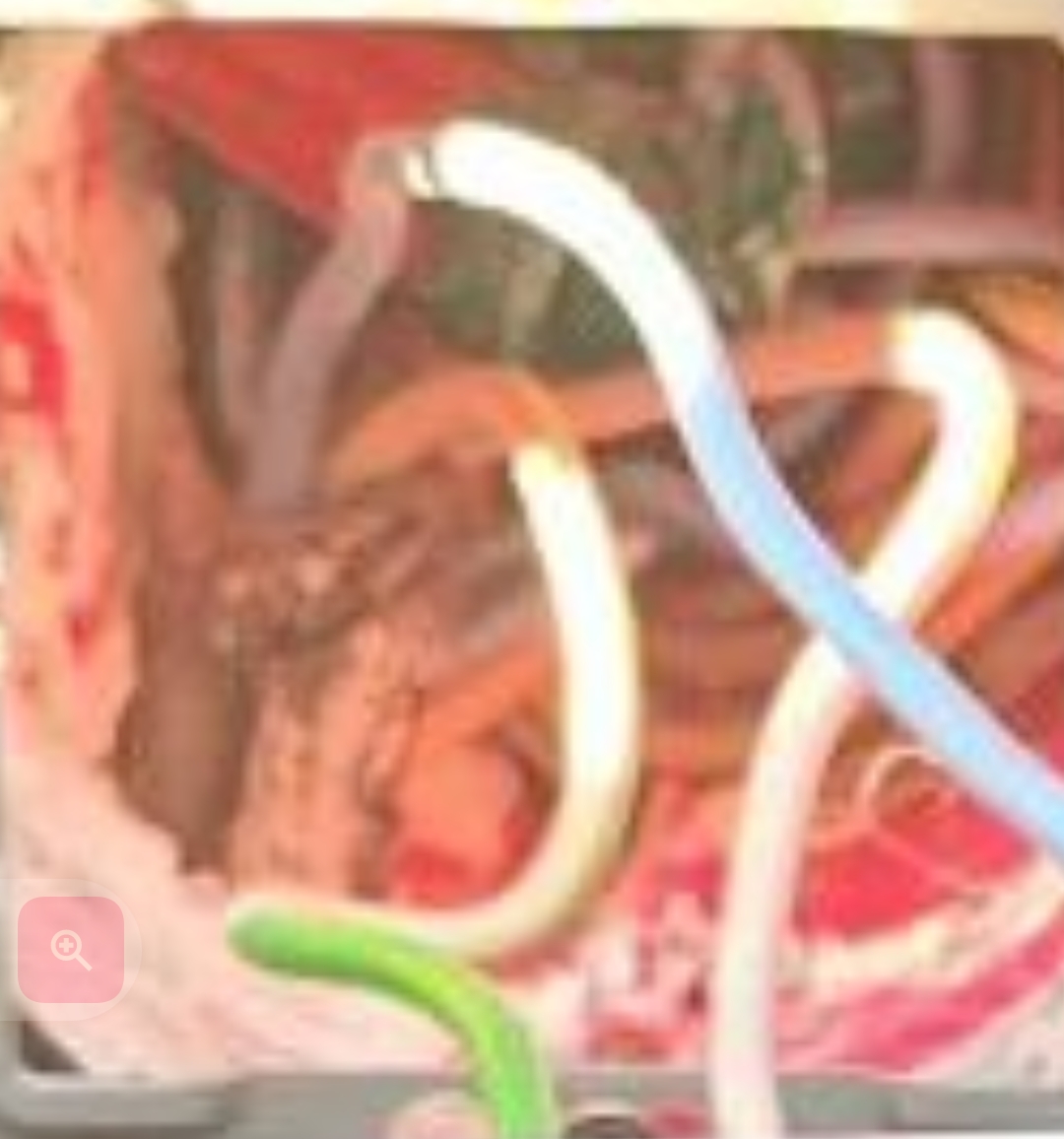 Screenshot_20260220-171437