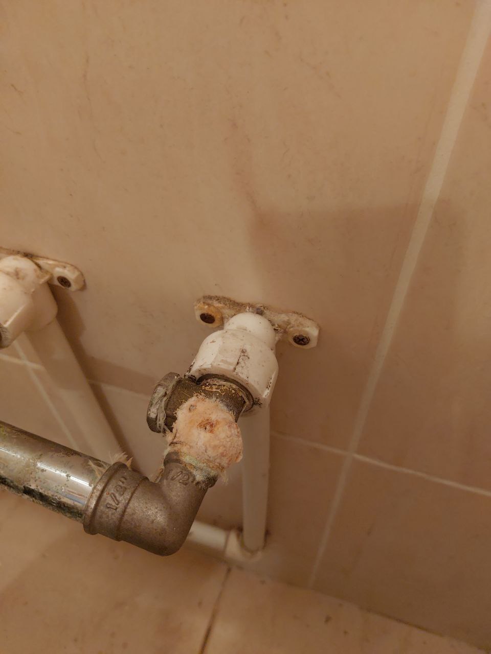 photo_2025-11-01_12-09-10