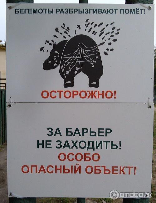 54236461