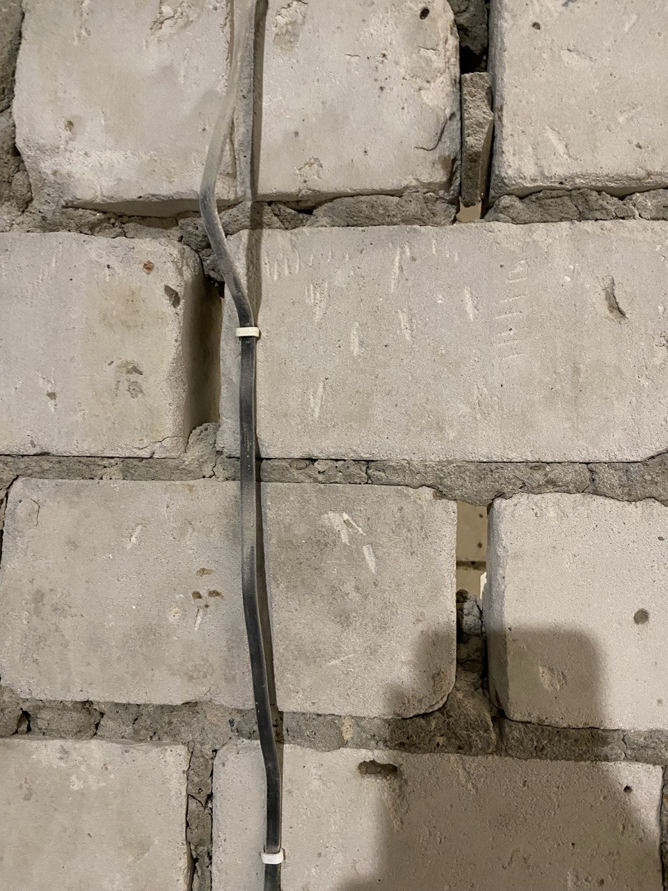 photo_2026-03-12_22-54-07