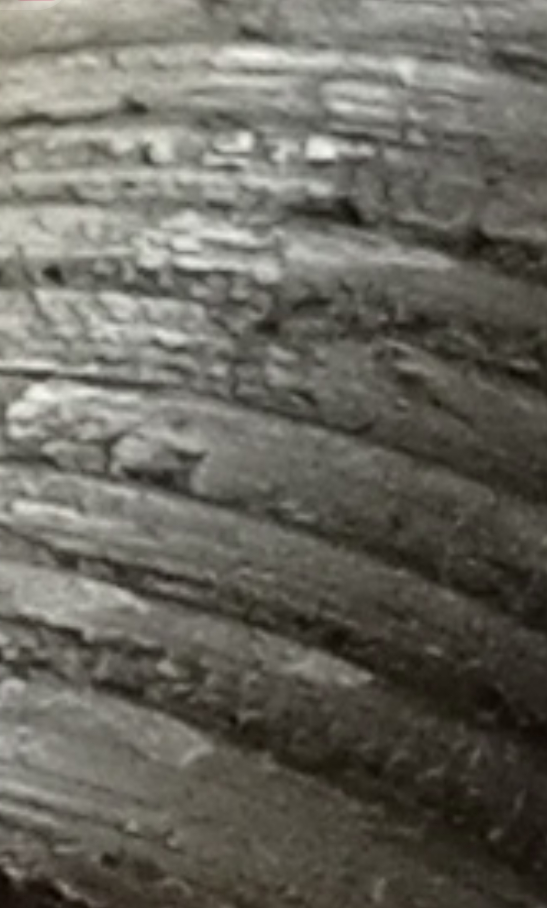 Screenshot_20251016-105828