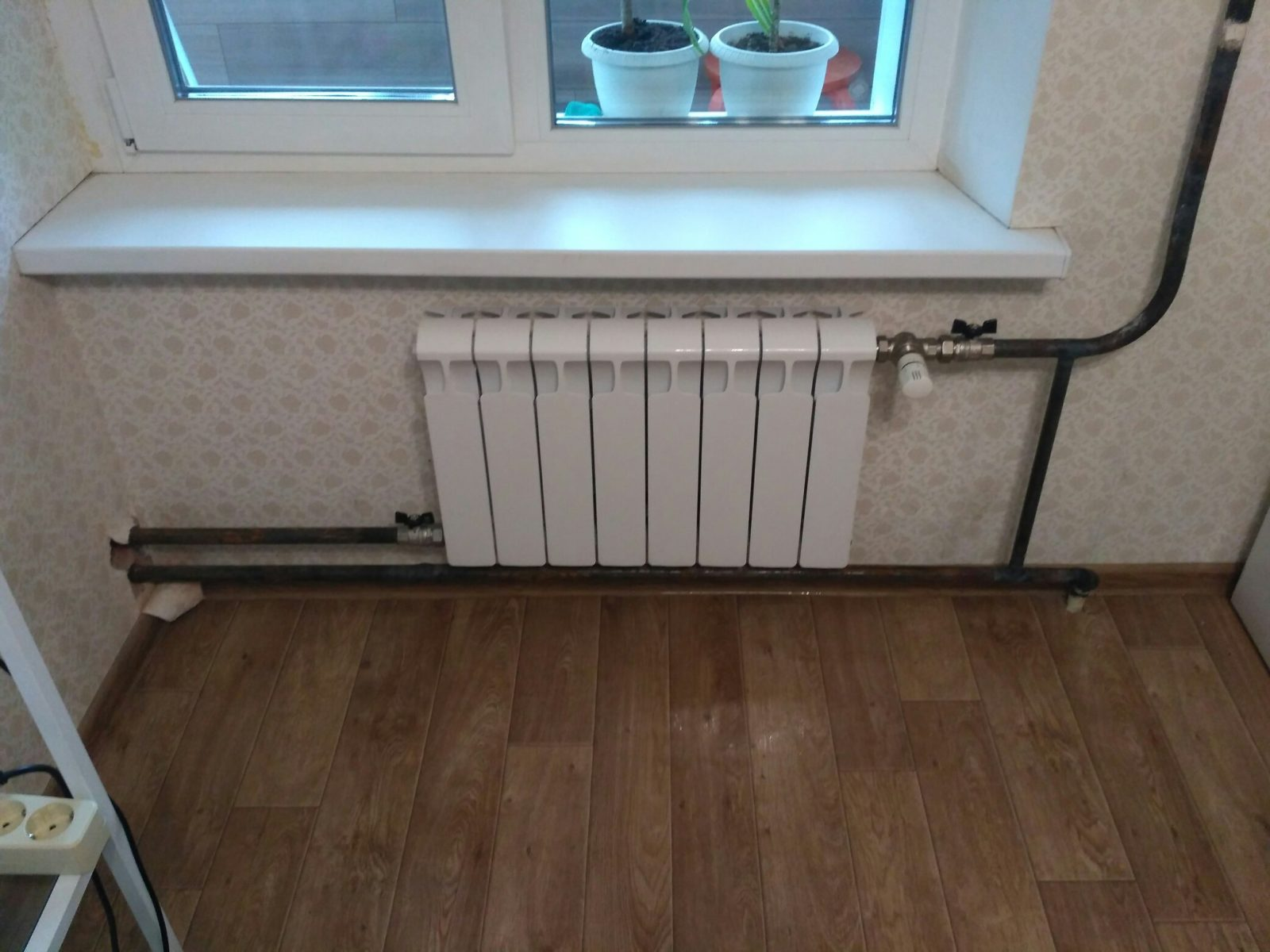 изображение_2026-06-28_012548323