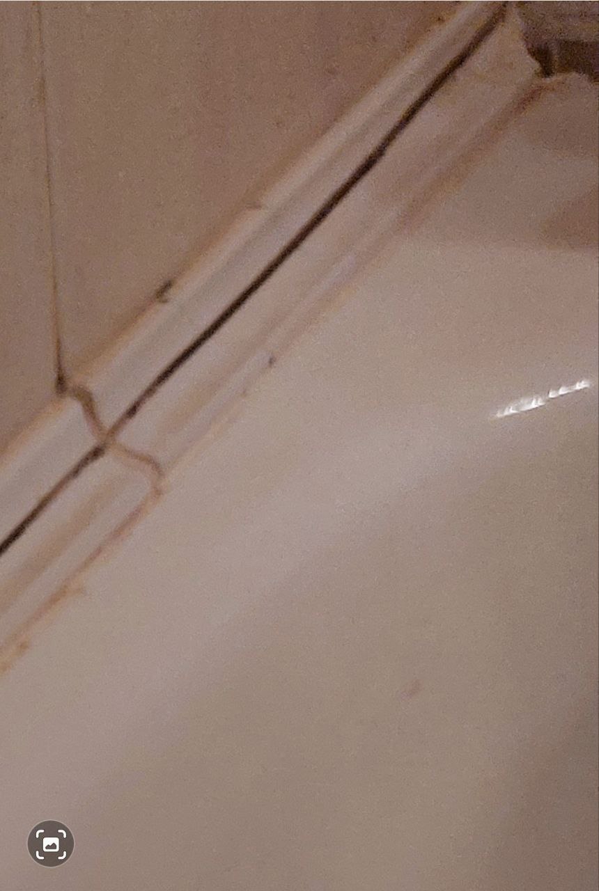 photo_2025-11-11_12-51-14