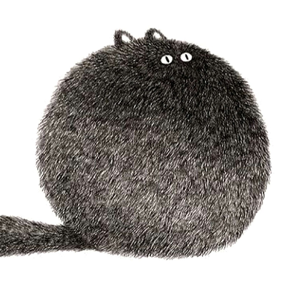 g_kot