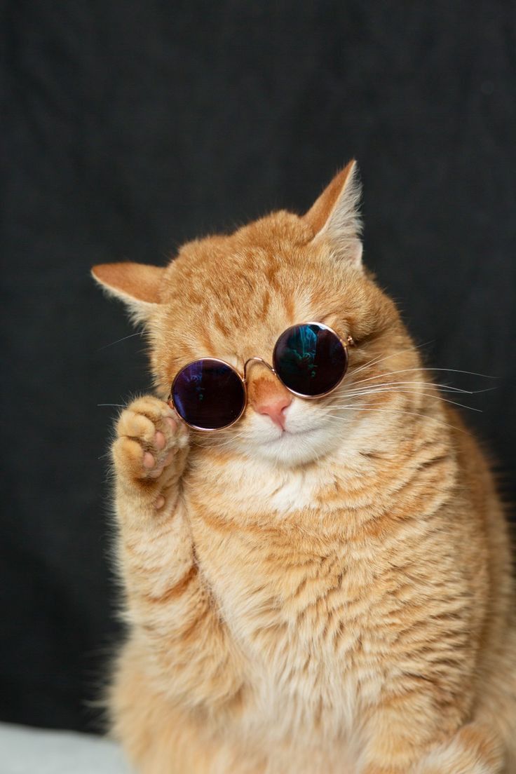 Кашин Тони