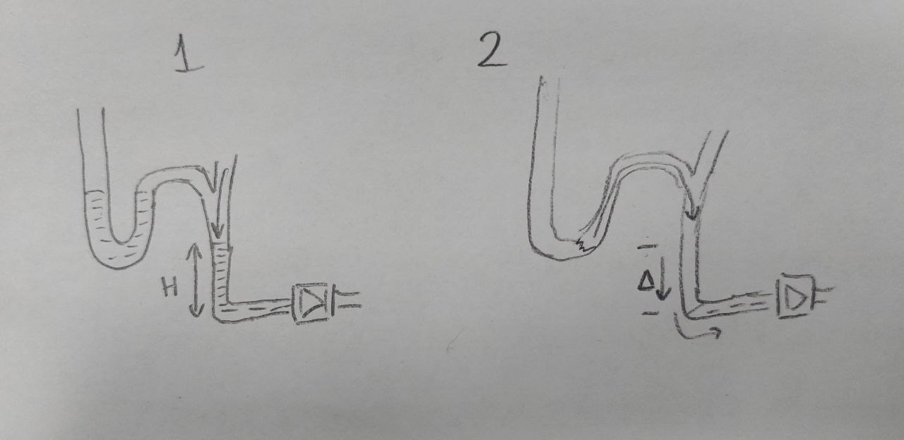 photo_2026-02-03_11-46-40