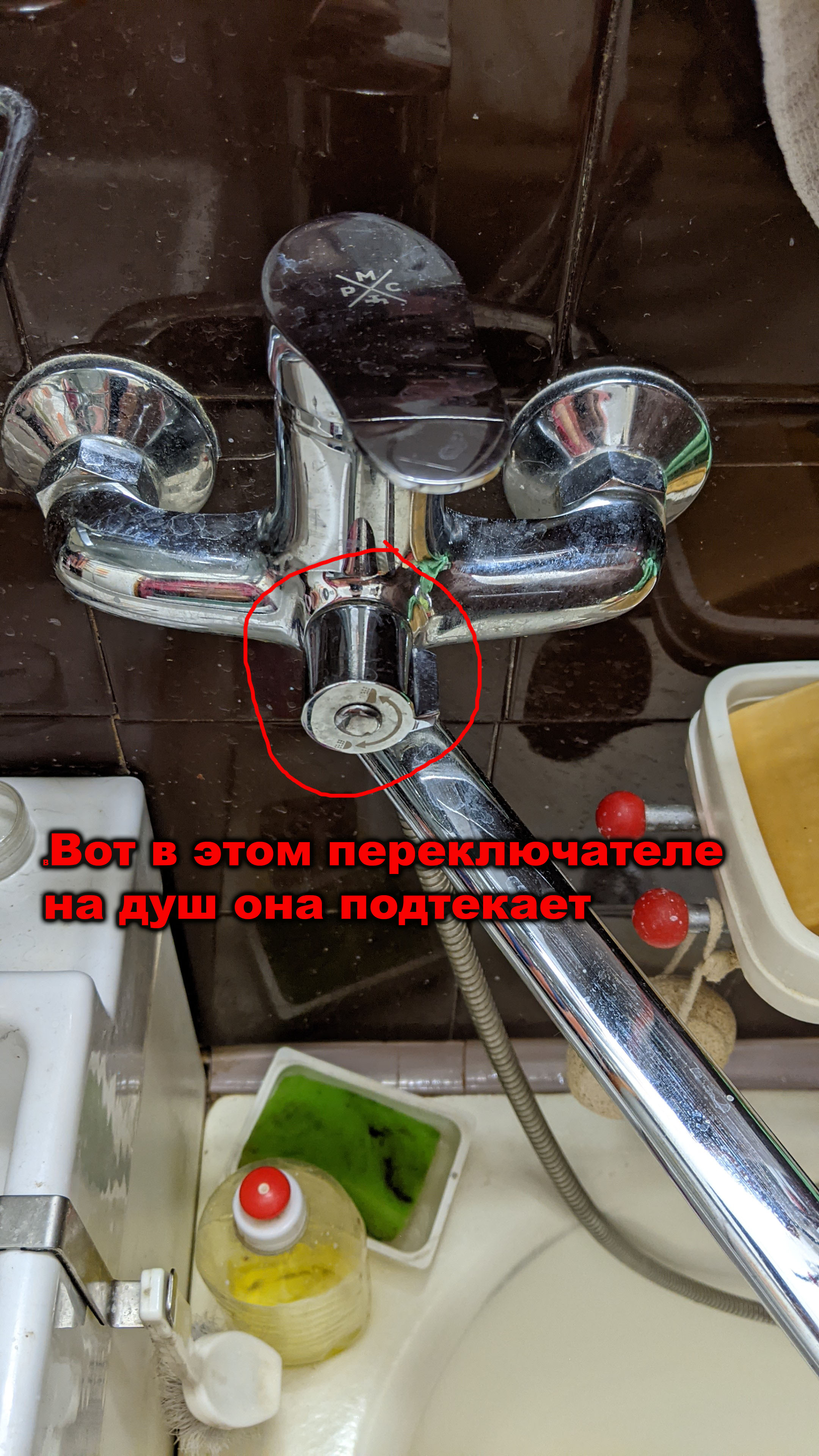 PXL_20250503_091222910