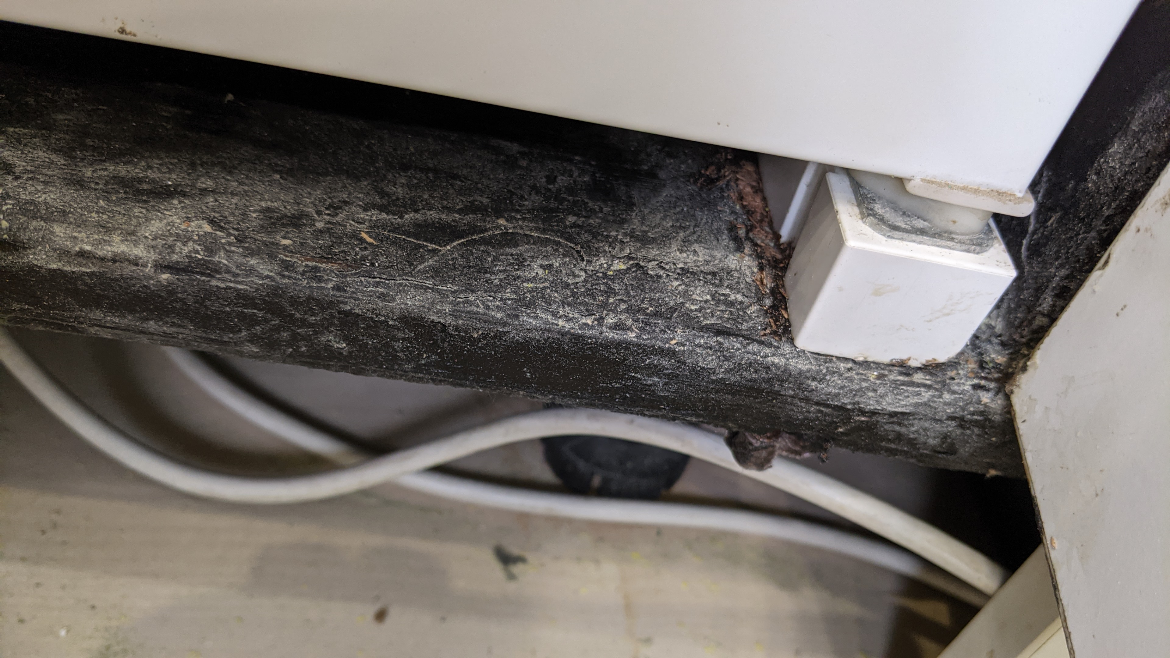 PXL_20251030_090355823