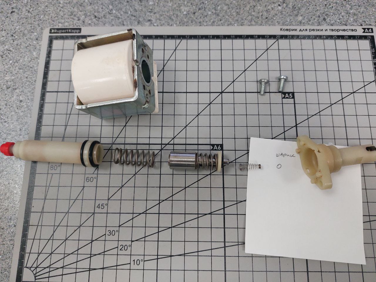 photo_2025-11-20_16-32-35