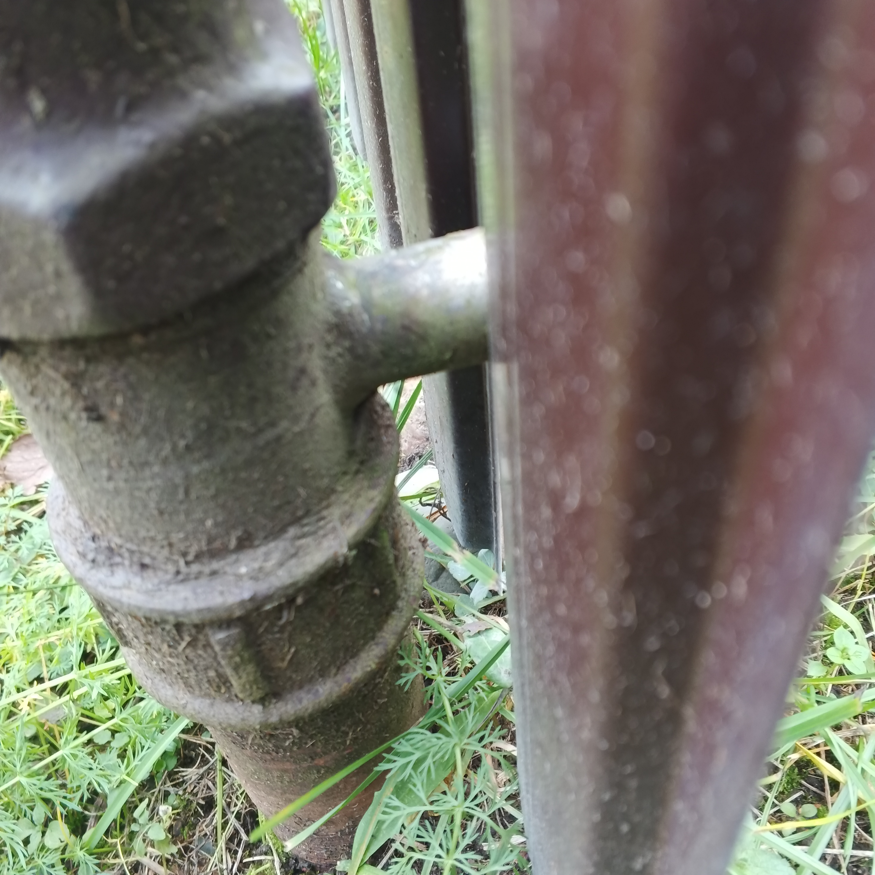 IMG_20251105_132445_278