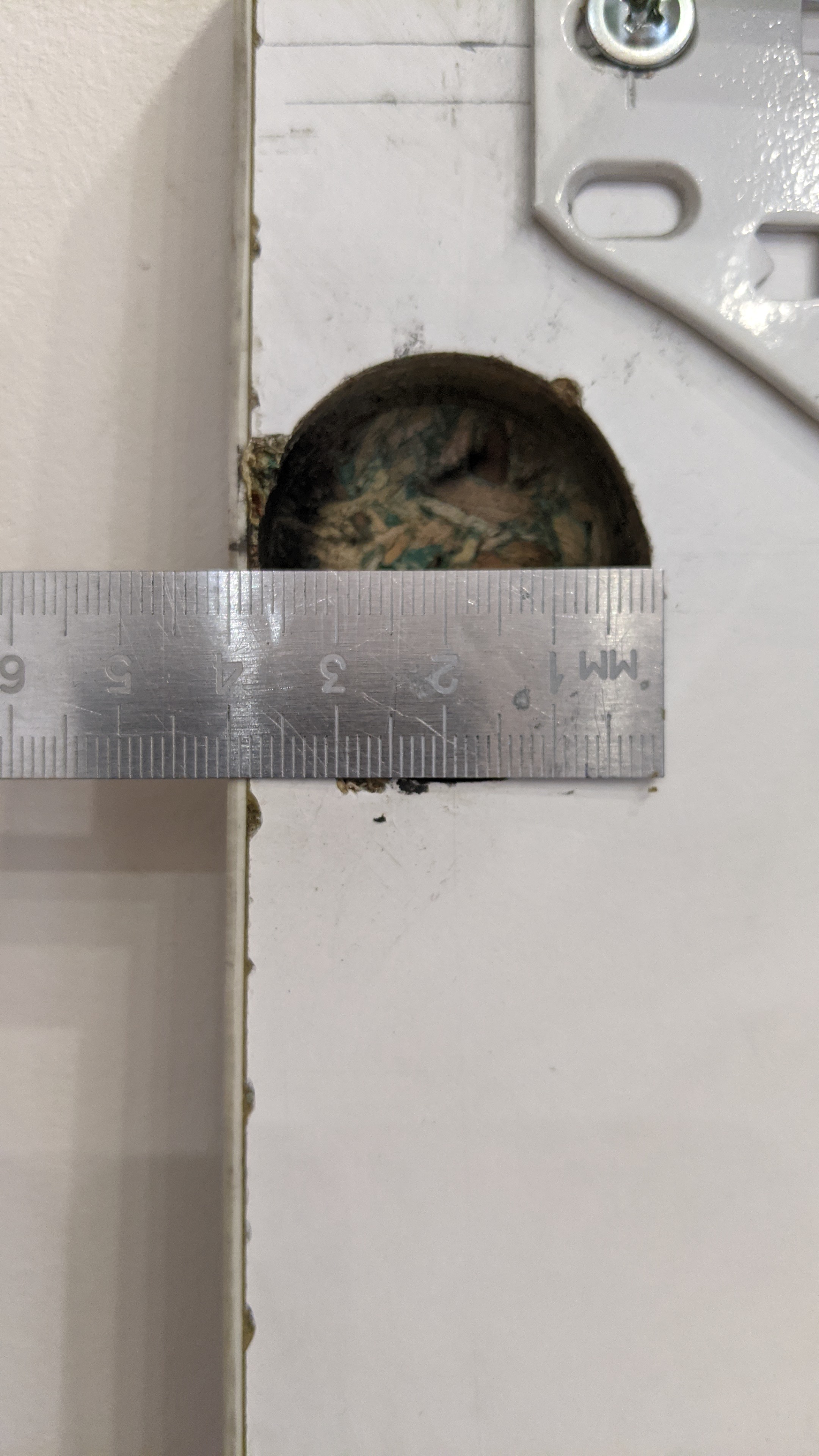 PXL_20251022_111321187