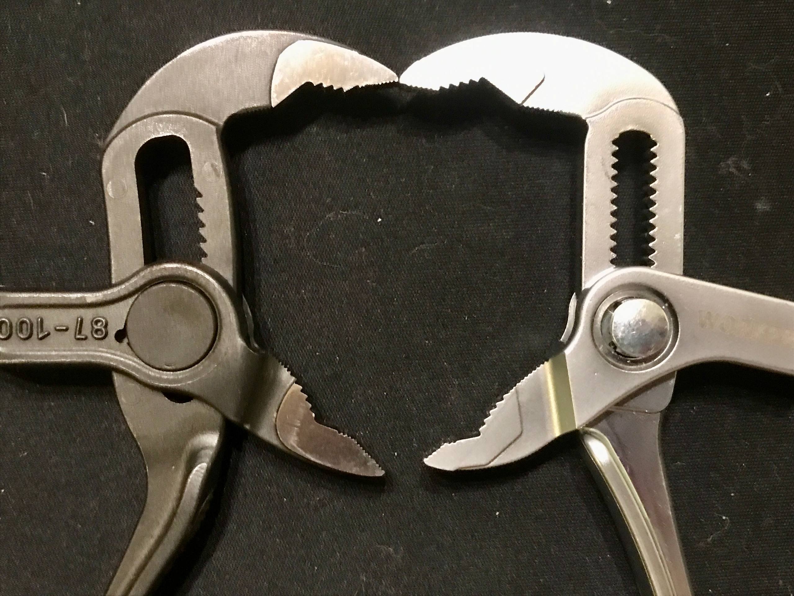 photo_5_2025-11-06_00-03-49