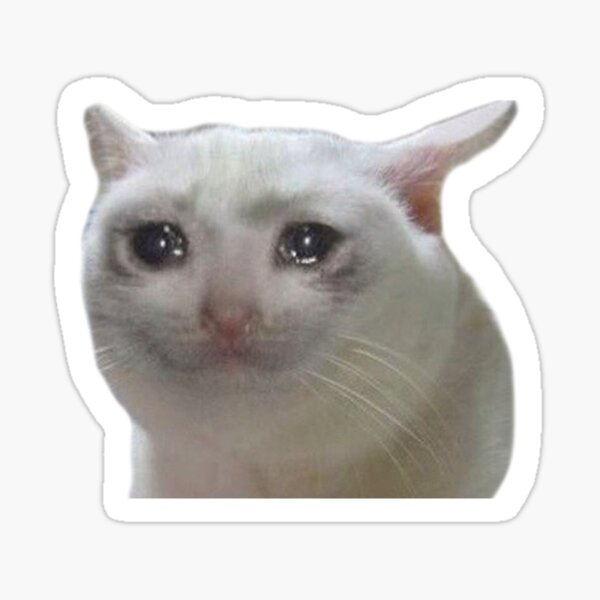 st,small,507x507-pad,600x600,f8f8f8