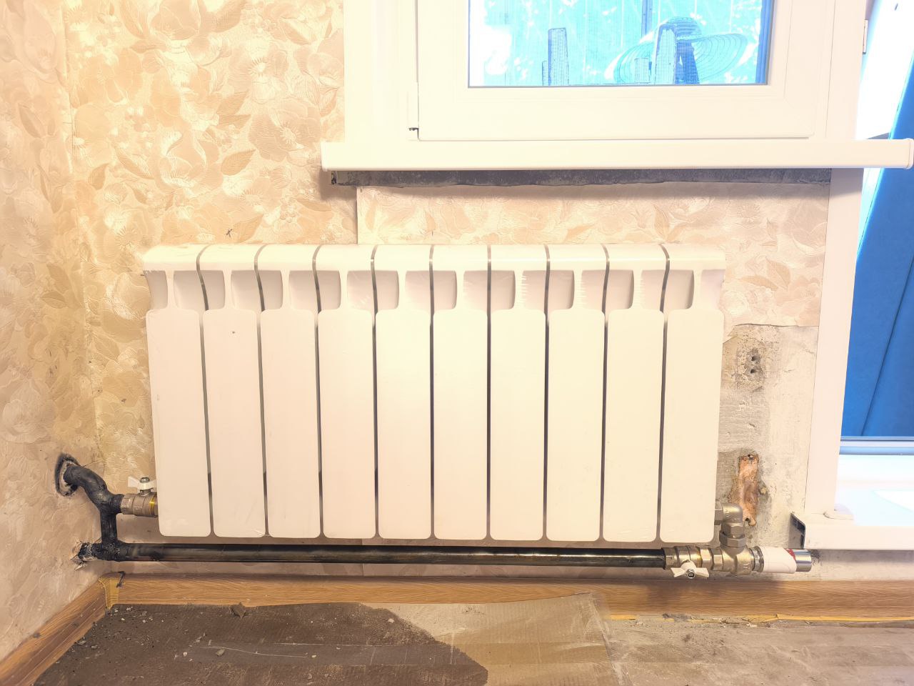 photo_2025-08-03_20-54-47