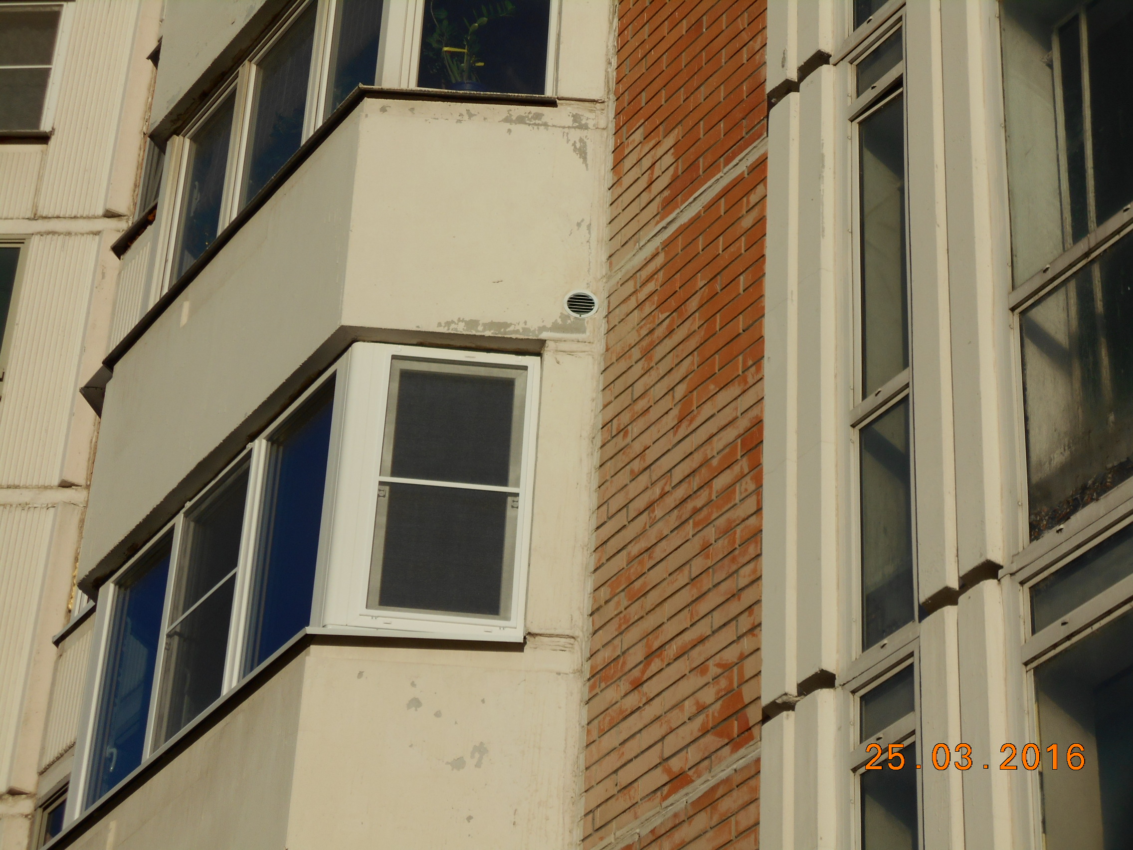 DSCN0028