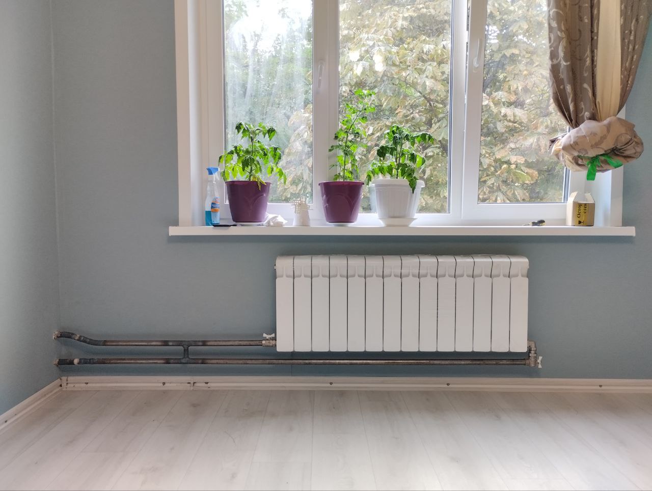 photo_2023-11-12_21-22-46