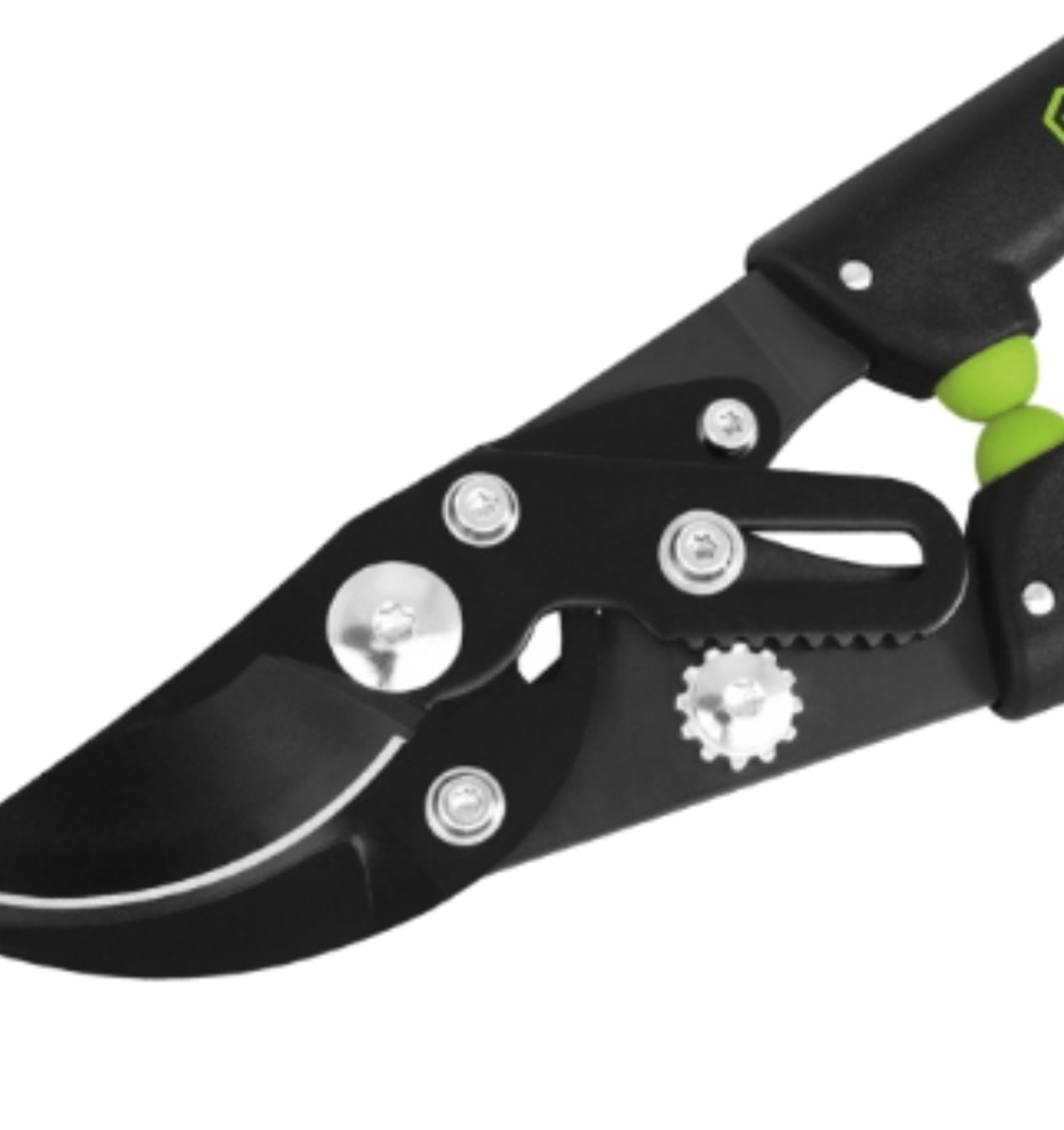 Screenshot_20251022-204718