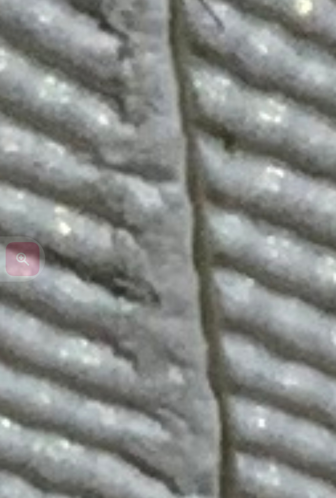 Screenshot_20250611-093440