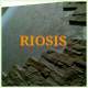 Riosis