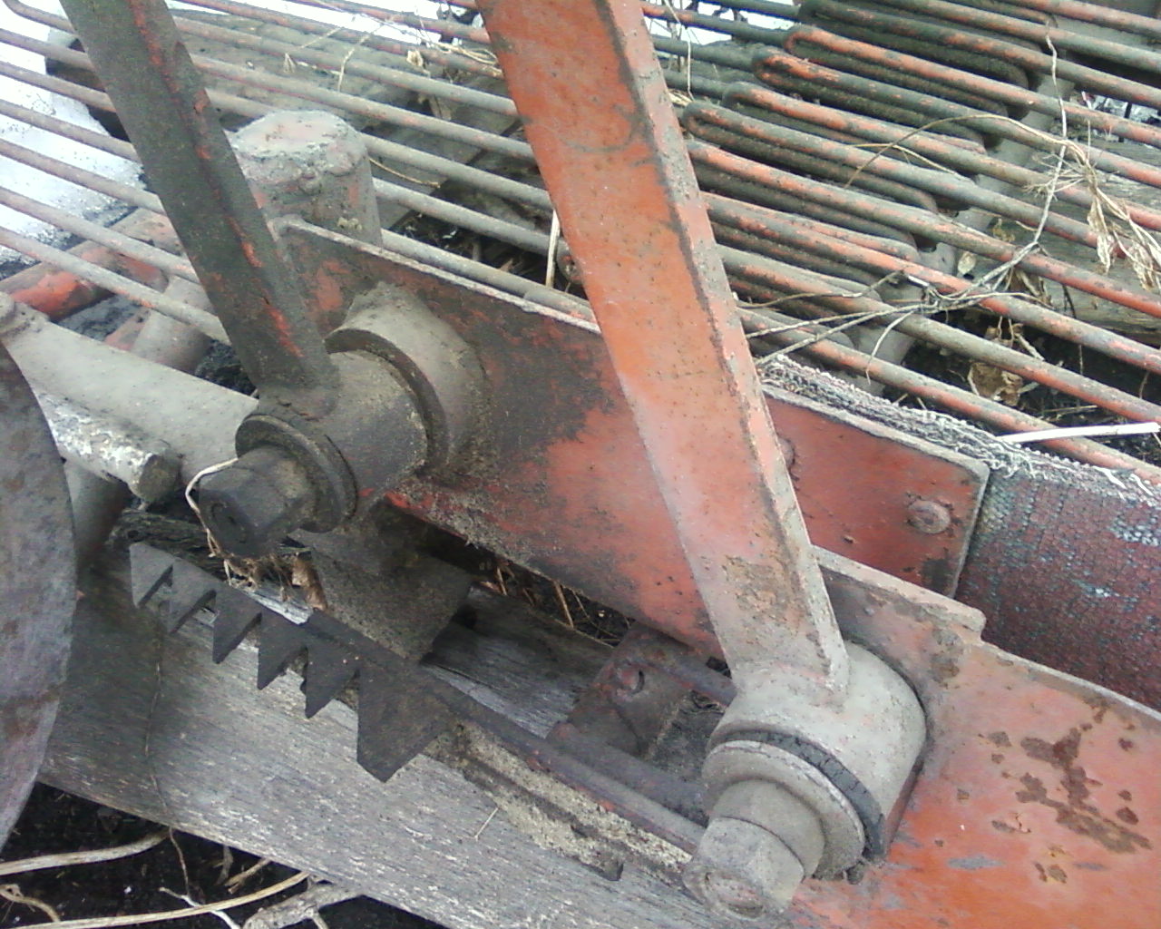 Photo-0036