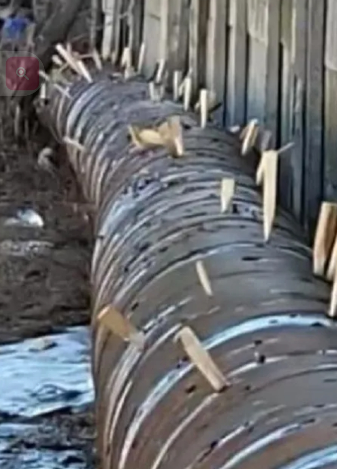 Screenshot_20260305-202822