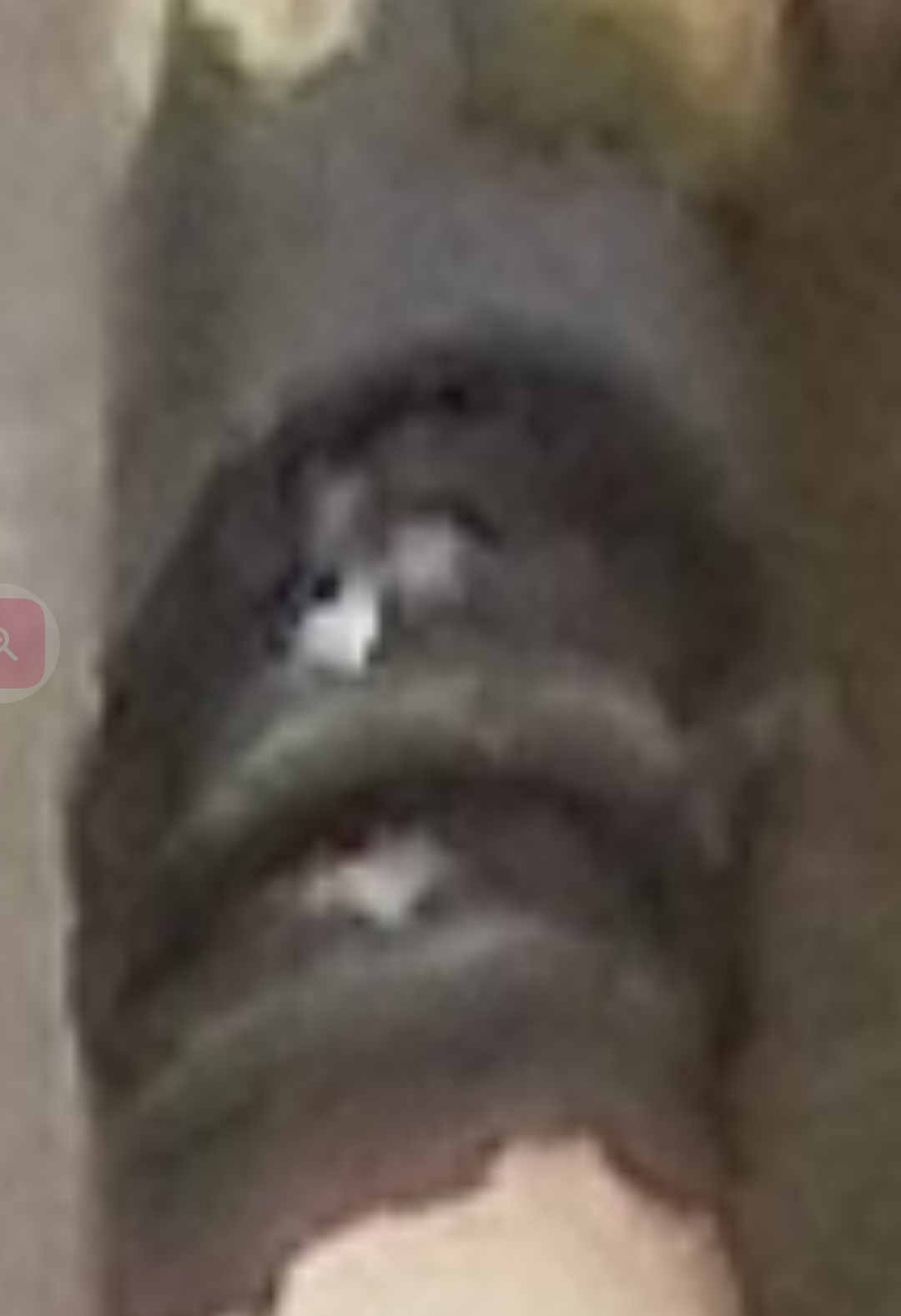 Screenshot_20260429-180103