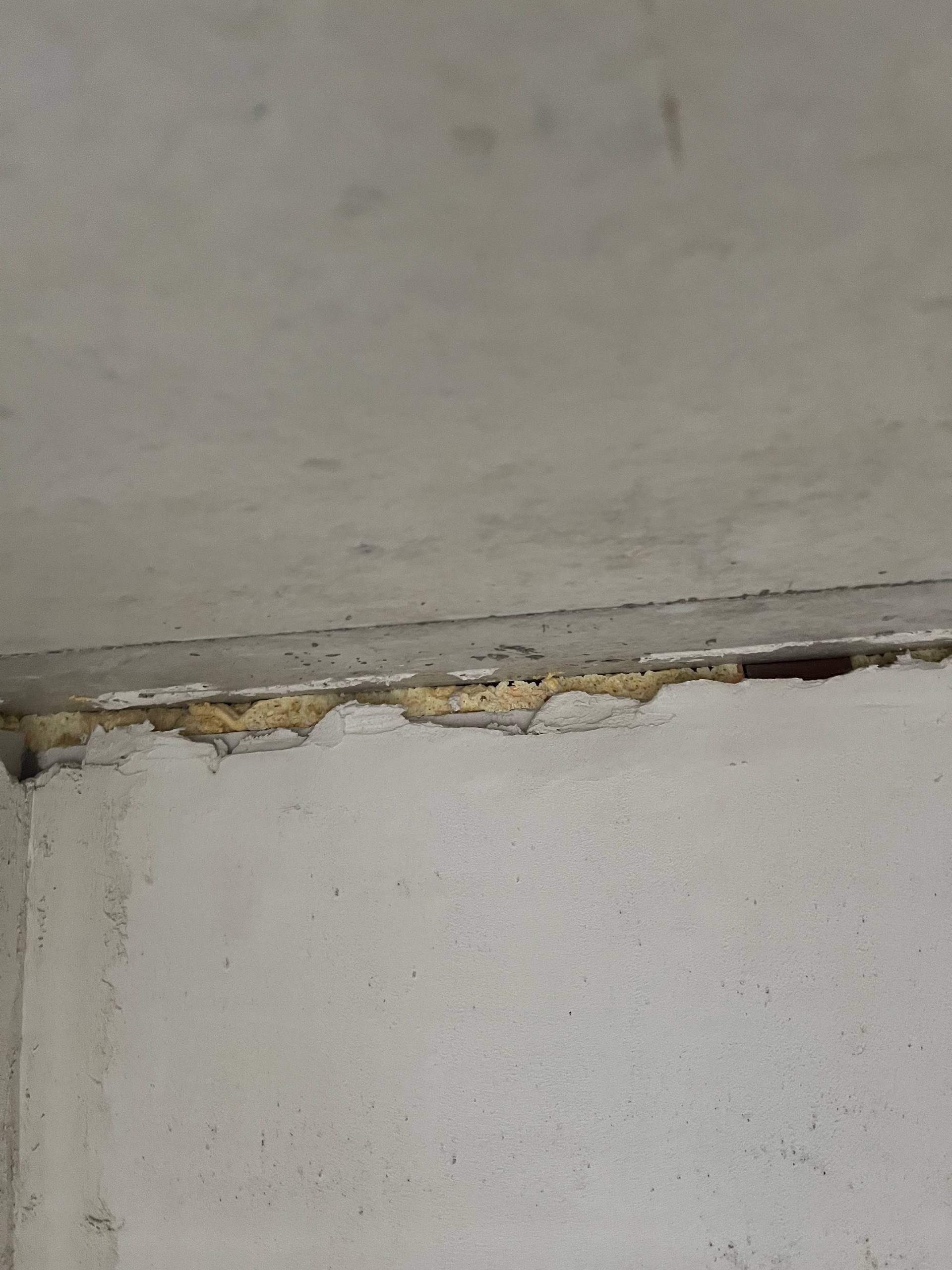 photo_2026-02-25_12-53-16