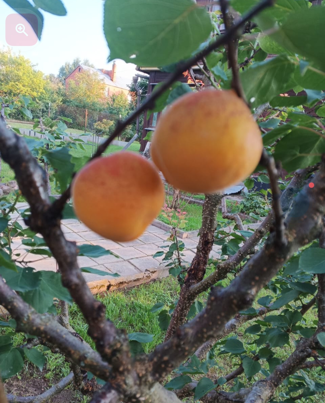 Screenshot_20260131-164508