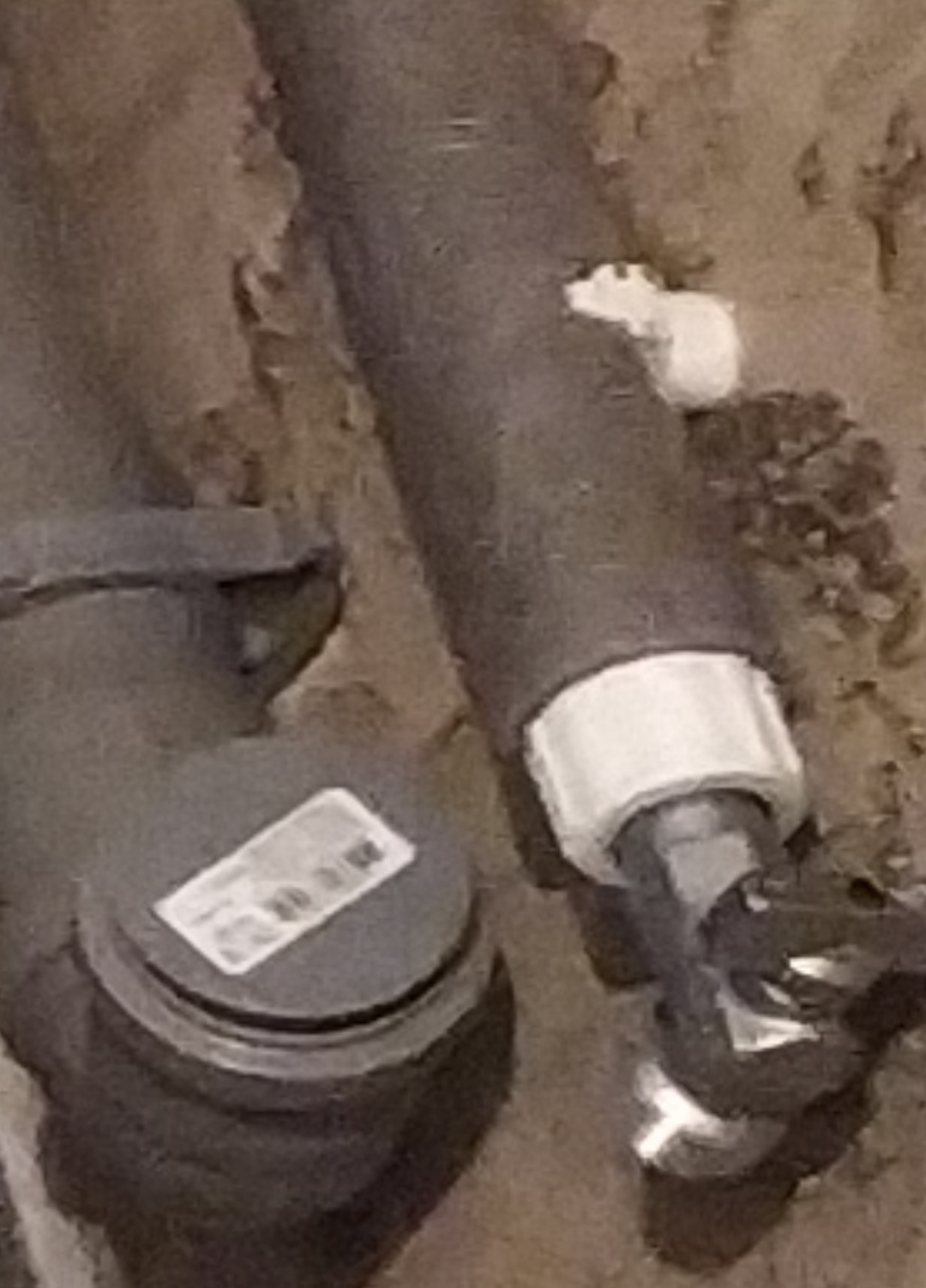 Screenshot_20251229-205918