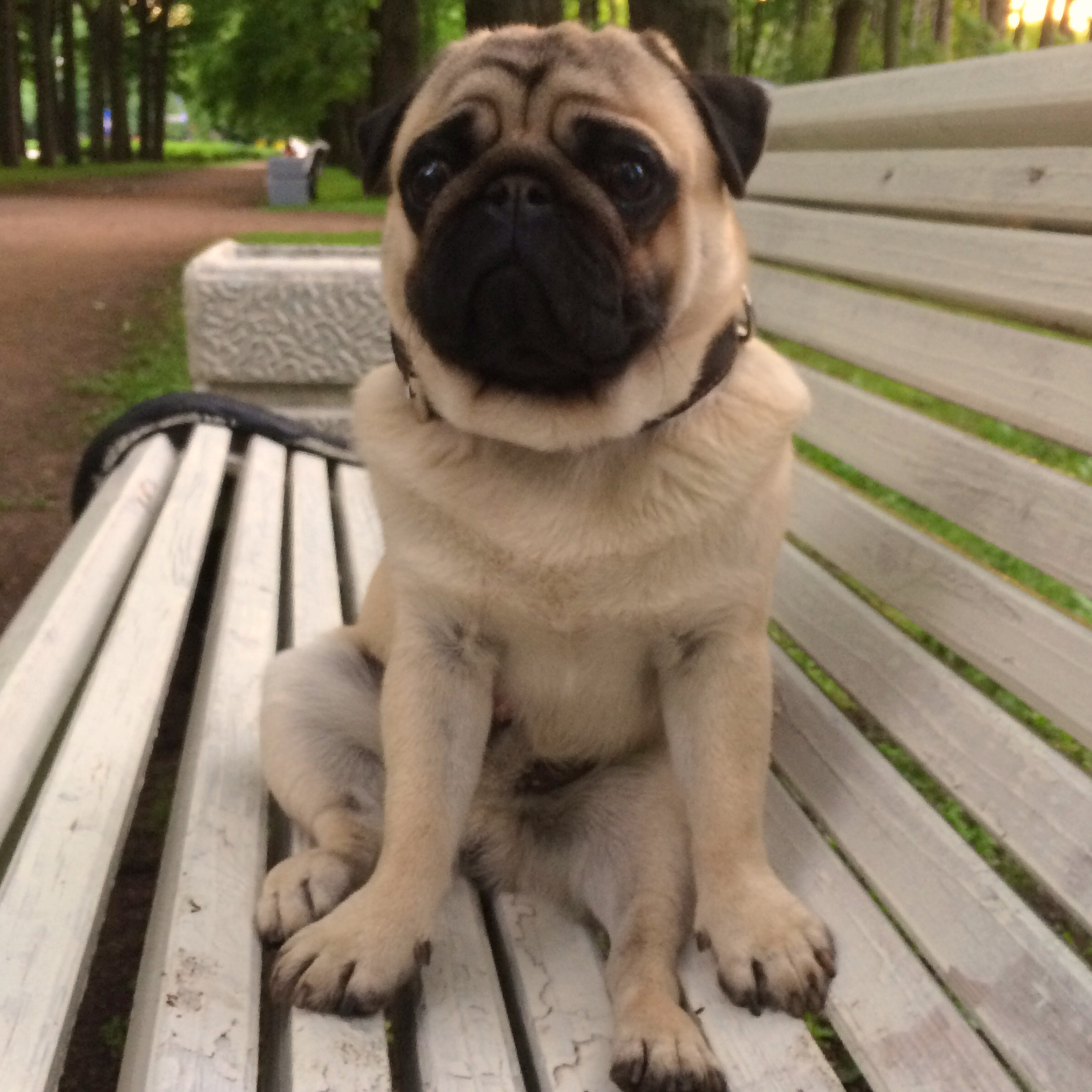 Livemaks