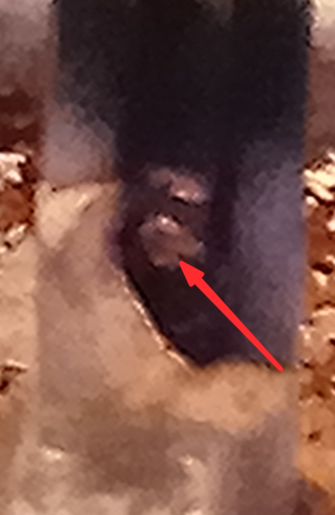 Screenshot_20260311-130730