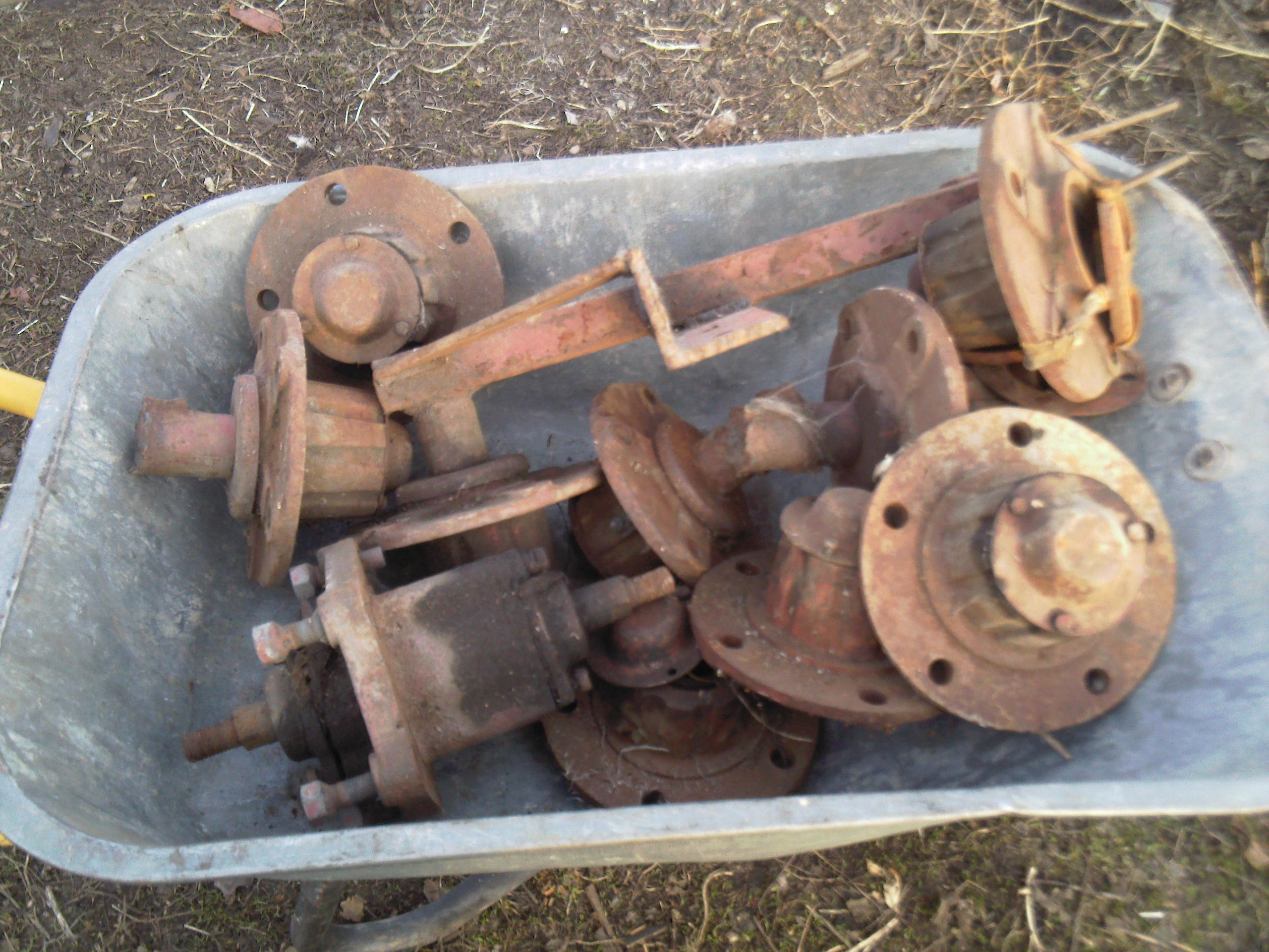 Photo-1-0002