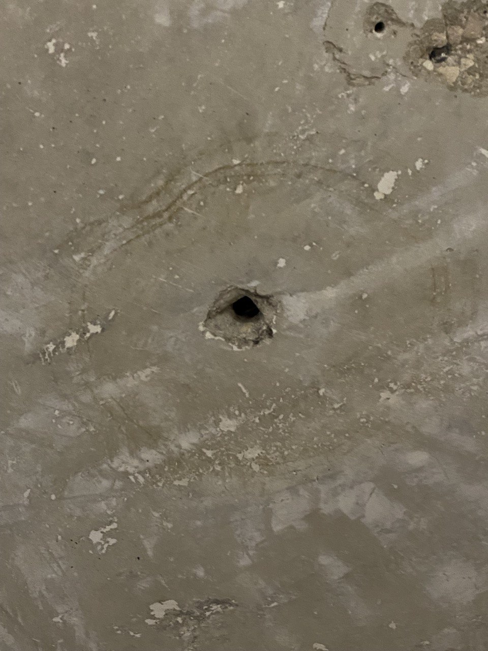 photo_2026-03-09_20-54-48