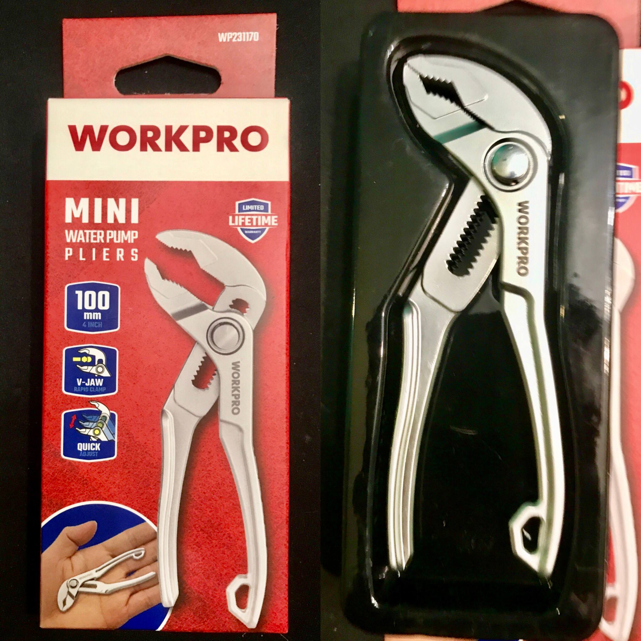 photo_1_2025-11-06_00-17-13