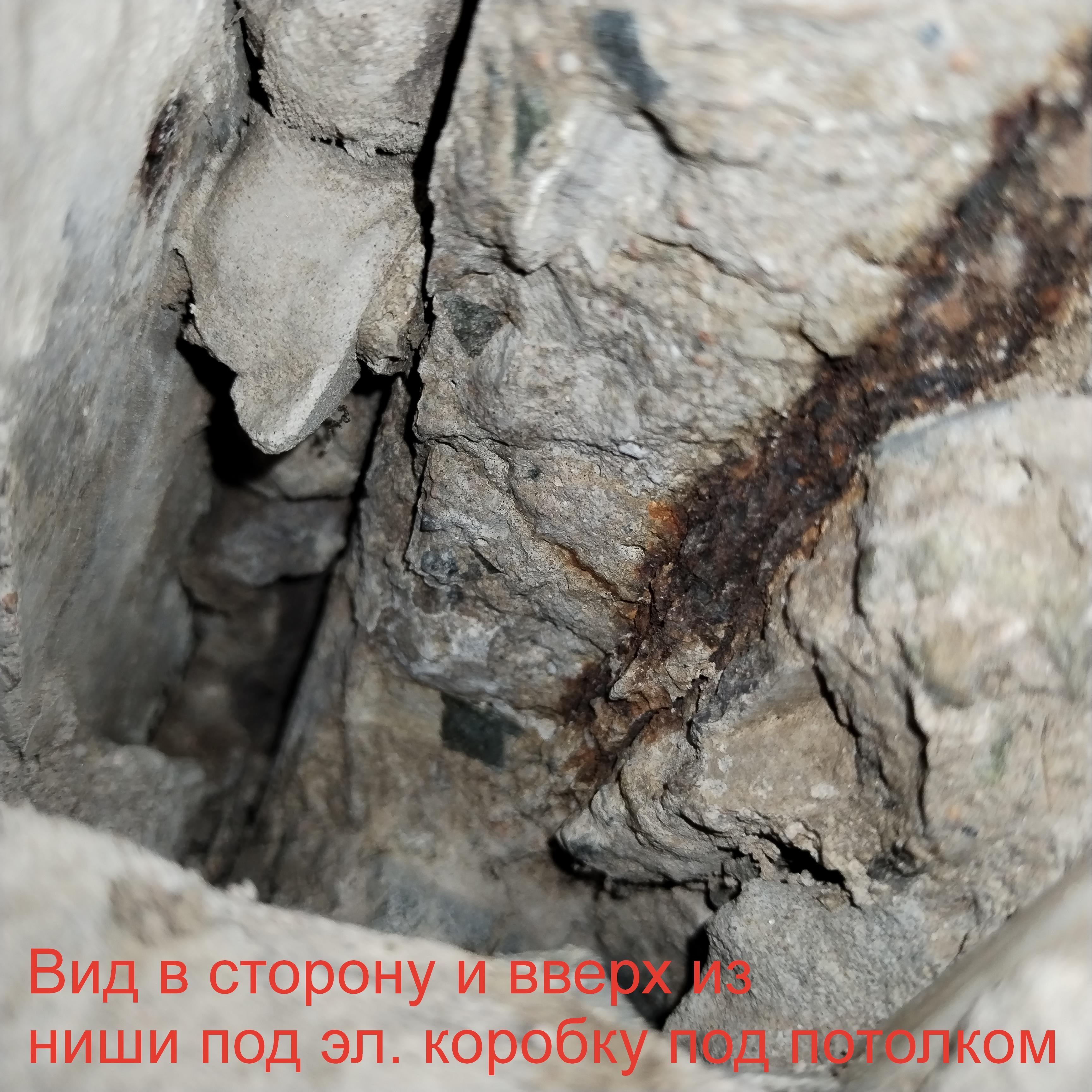 IMG_20250626_131300 — копия