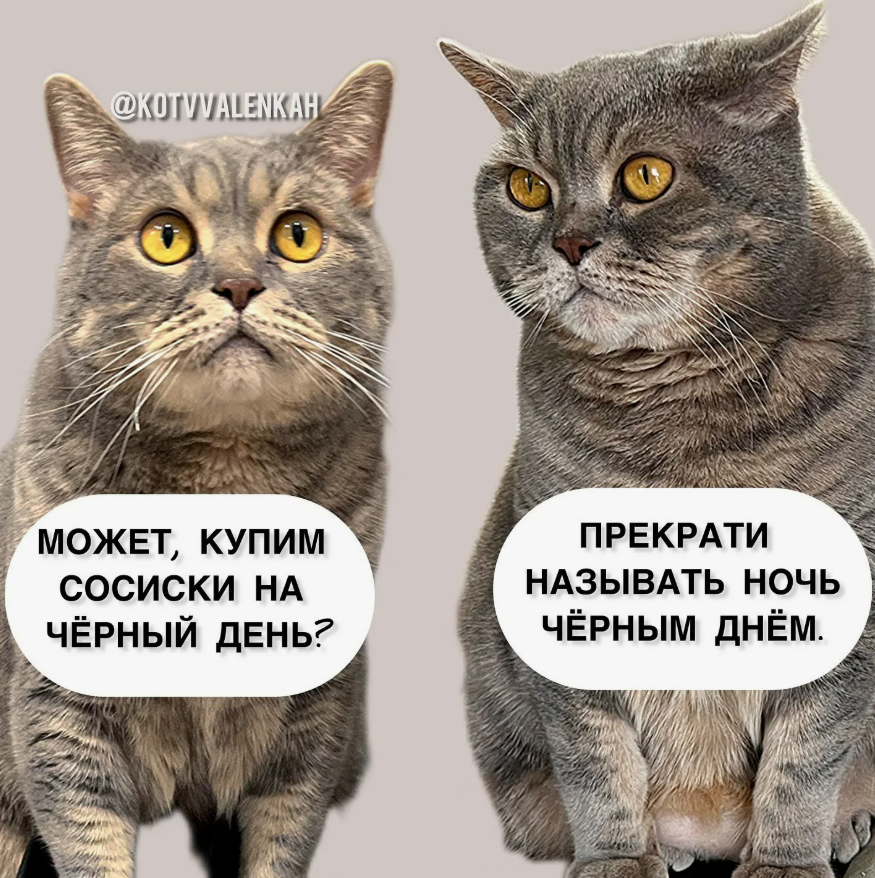 2026-07-25_10-16-08