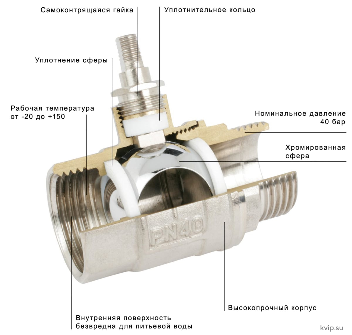 изображение_2026-08-20_144316850