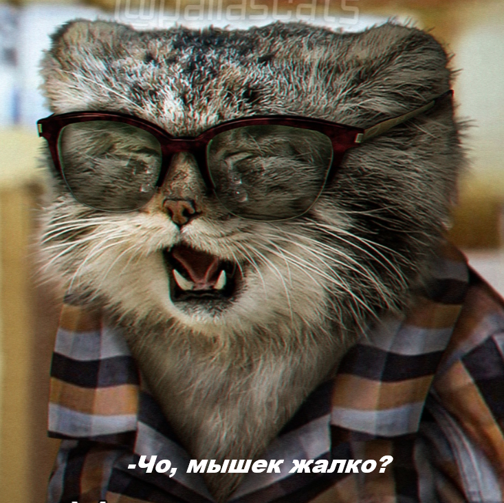 Снимок экрана 2026-01-21 174738