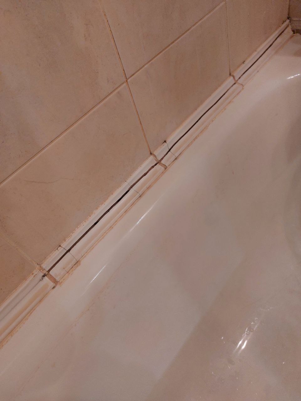 photo_2025-10-28_10-53-32