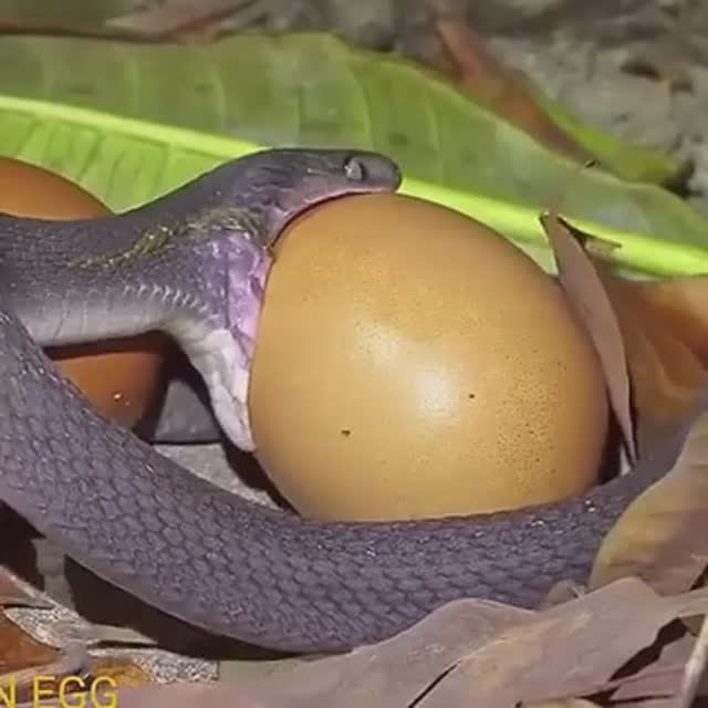 9396e2b423734d5435a7075e5238e38a