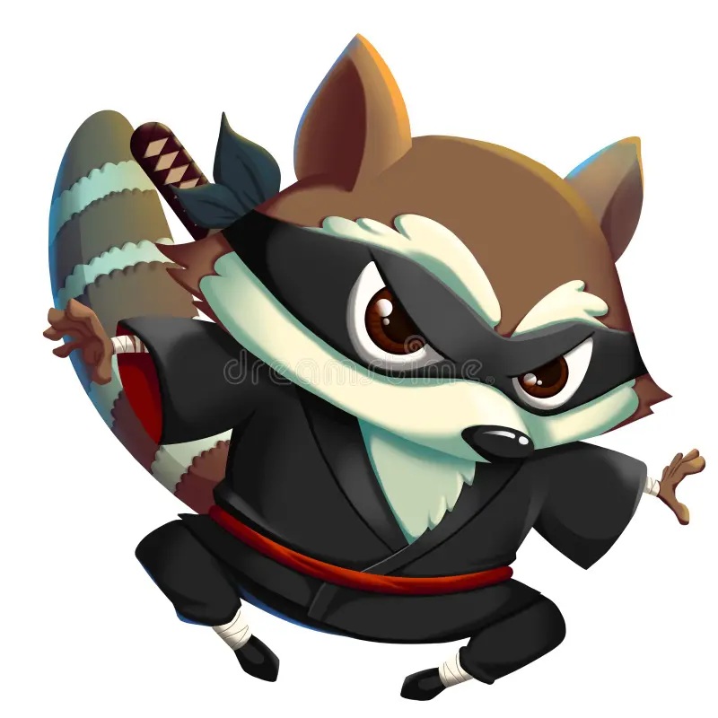 Ninja_Raccoon